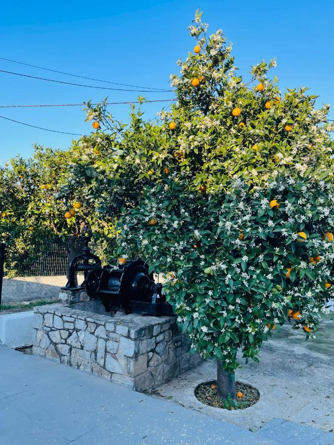 Vila Citrus Garden Epidaurus Exteriér fotografie