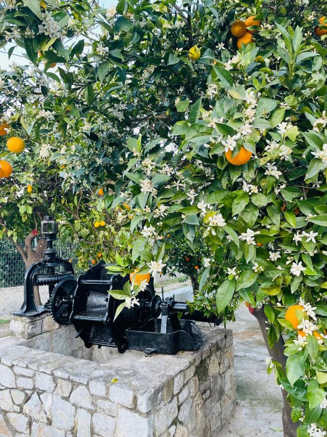 Vila Citrus Garden Epidaurus Exteriér fotografie