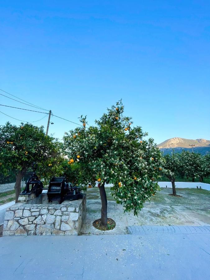 Vila Citrus Garden Epidaurus Exteriér fotografie