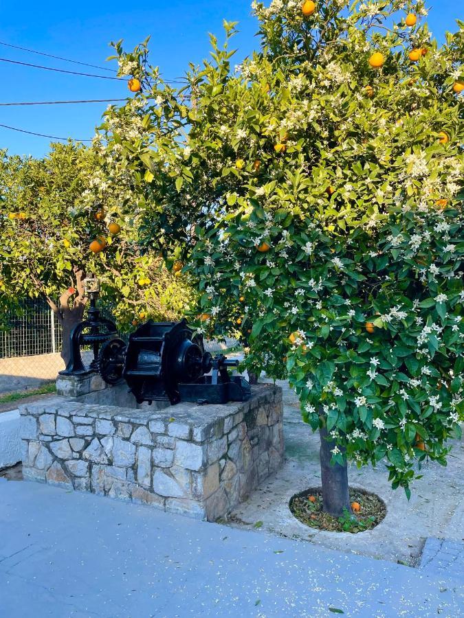 Vila Citrus Garden Epidaurus Exteriér fotografie