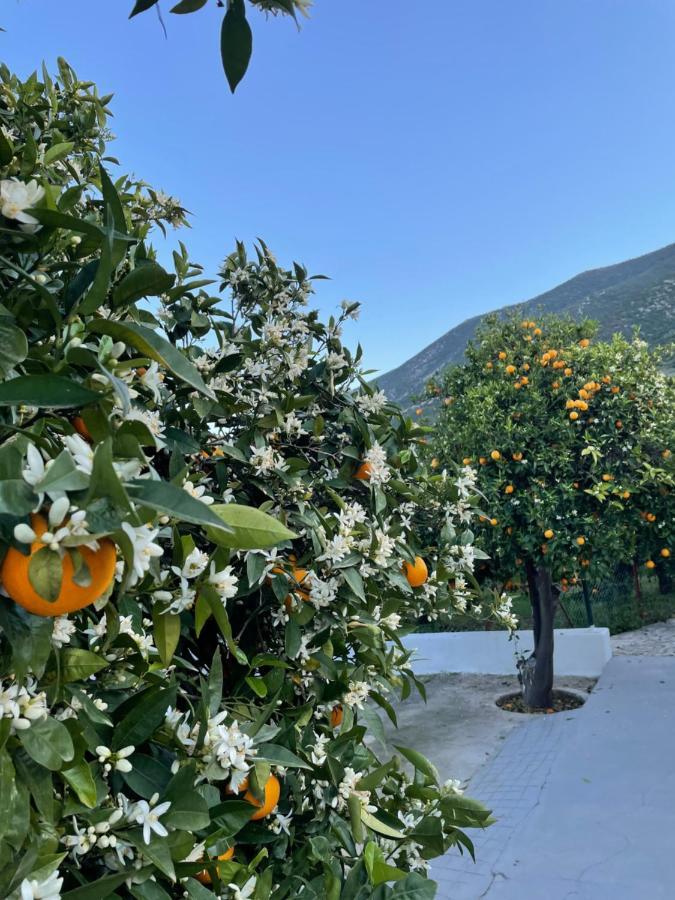 Vila Citrus Garden Epidaurus Exteriér fotografie