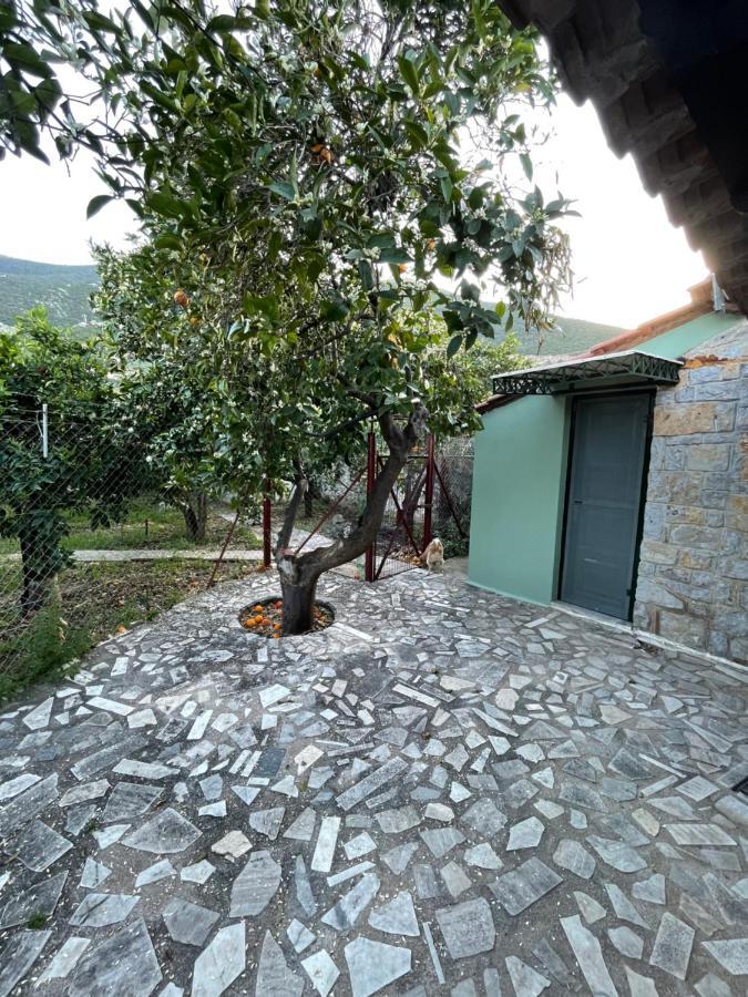 Vila Citrus Garden Epidaurus Exteriér fotografie