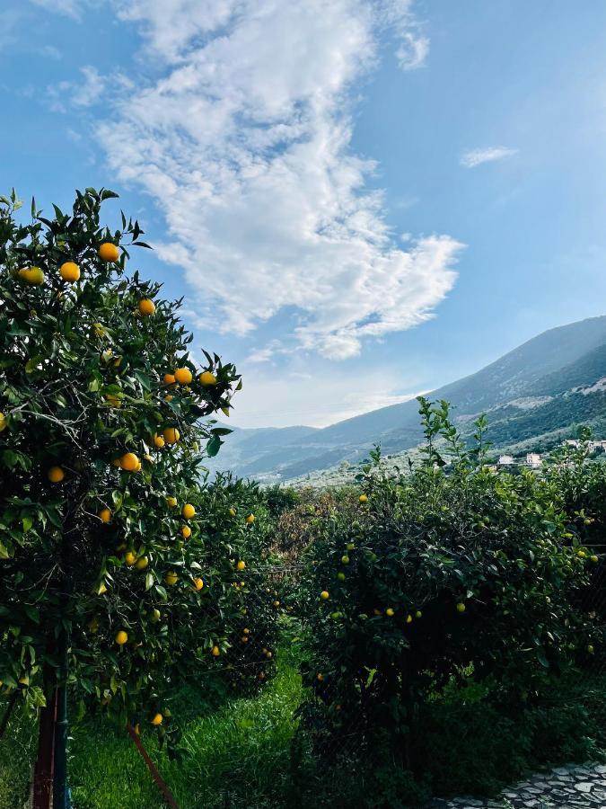 Vila Citrus Garden Epidaurus Exteriér fotografie